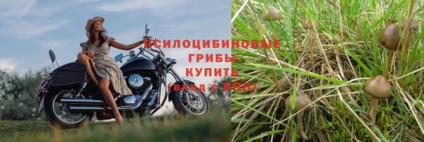скорость Зеленодольск