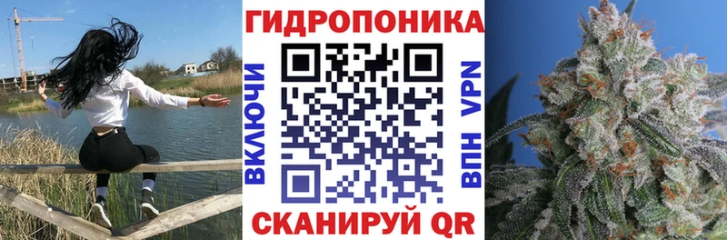 Купить  Бирюсинск  Каннабис план 